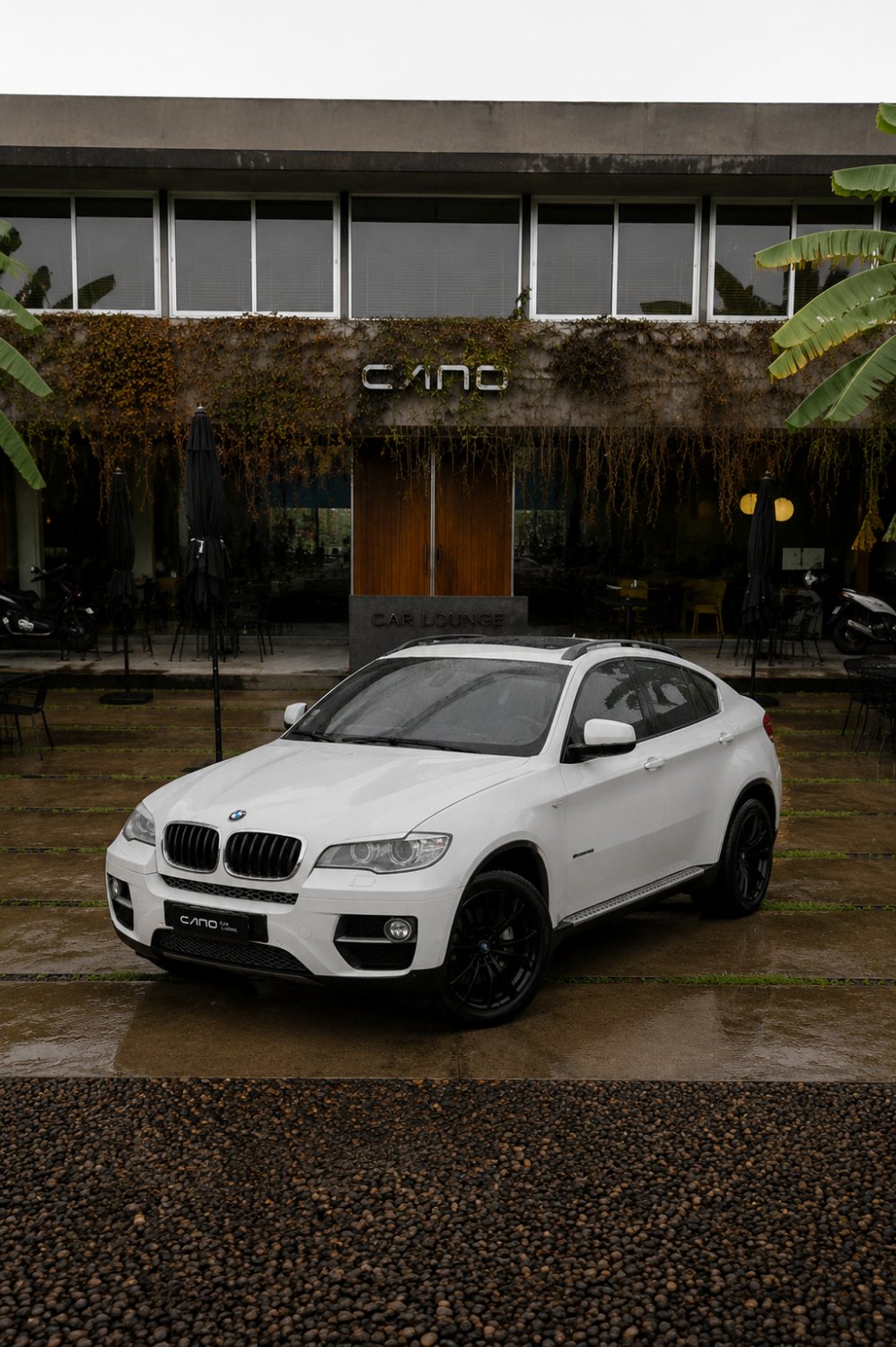 BMW X6 35i